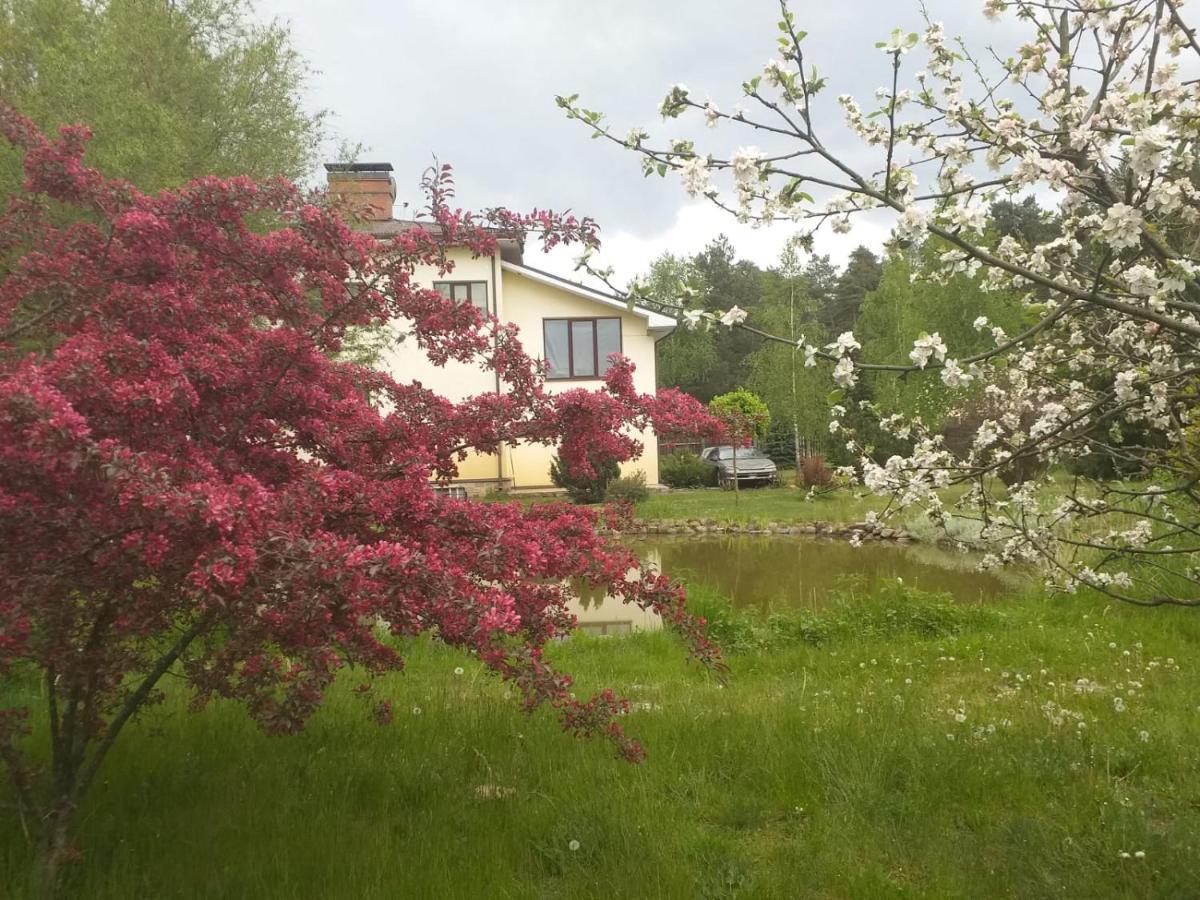 Guest House Pechersky & Sons Dreilini  외부 사진
