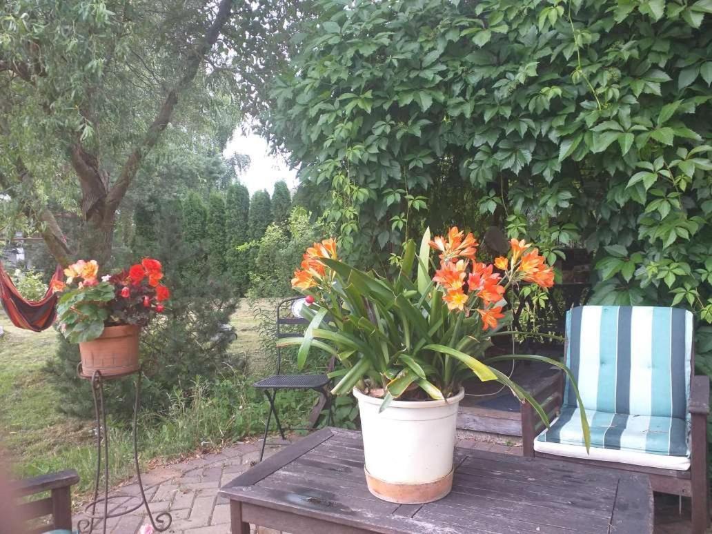 Guest House Pechersky & Sons Dreilini  외부 사진