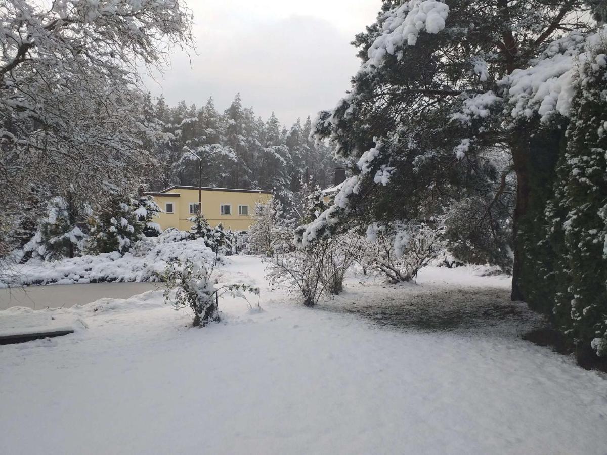 Guest House Pechersky & Sons Dreilini  외부 사진