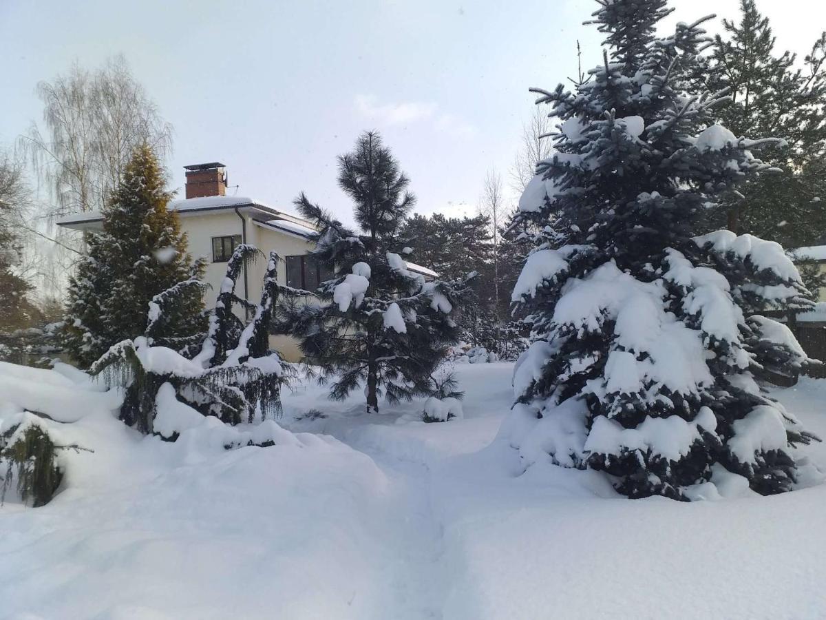 Guest House Pechersky & Sons Dreilini  외부 사진