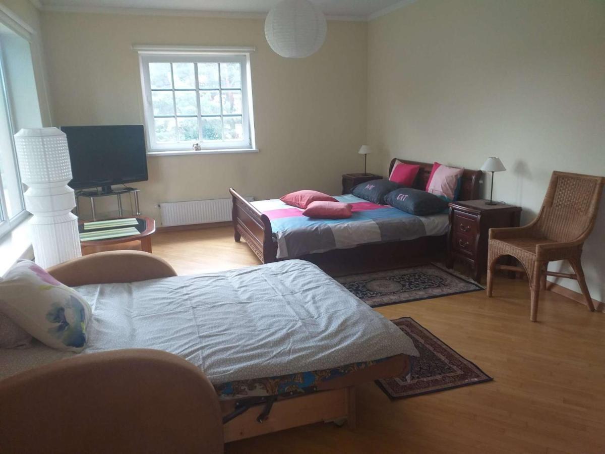 Guest House Pechersky & Sons Dreilini  외부 사진