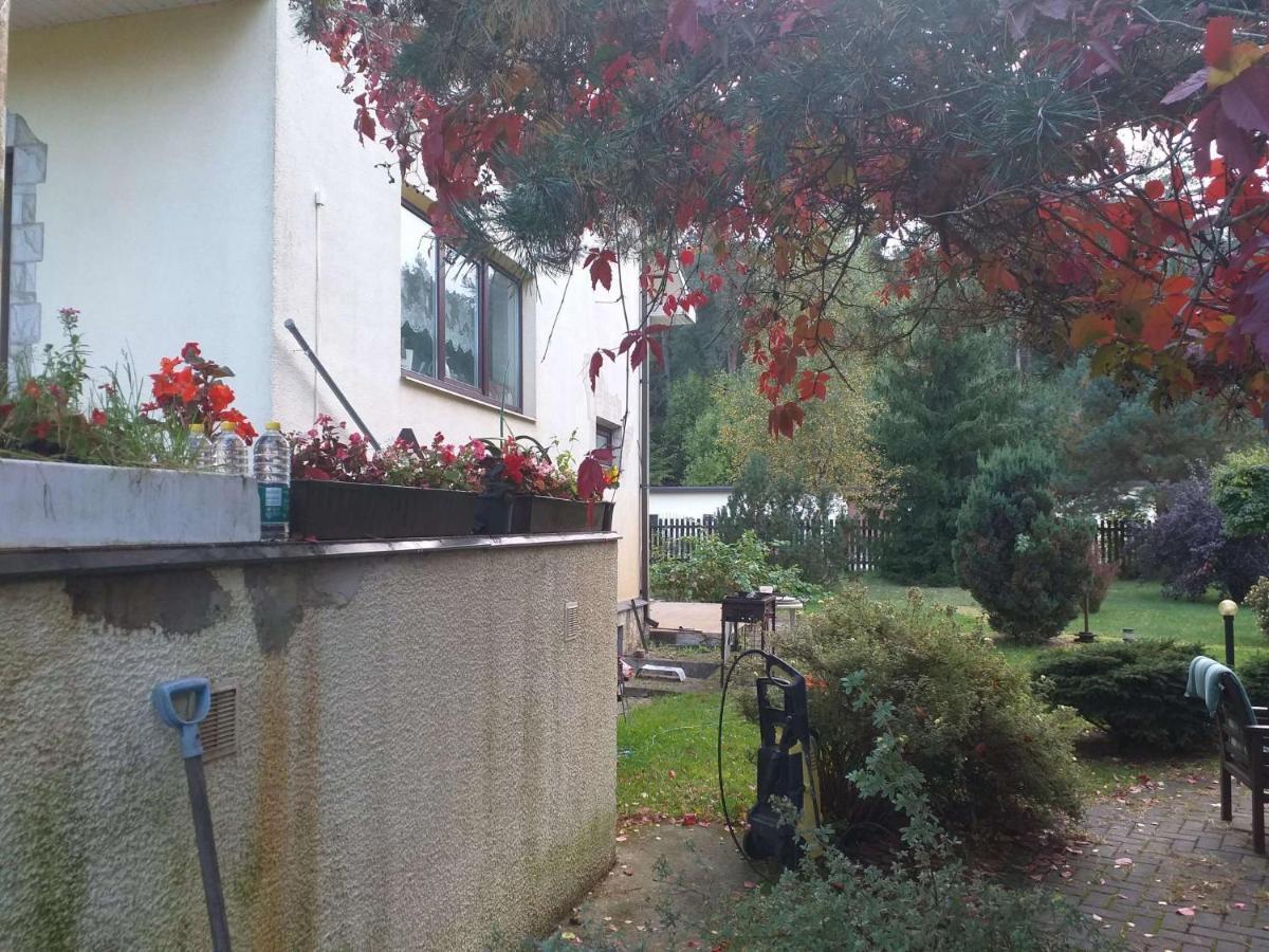 Guest House Pechersky & Sons Dreilini  외부 사진